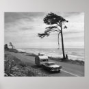 Search for pulling posters Black and white