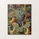 Search for ernst haeckel puzzles Sea