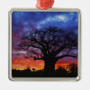 Search for tanzania christmas tree decorations Adansonia digitata