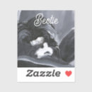 Search for border collie lover stickers Pet