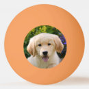 Search for pet dog ping pong balls Cute