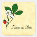 Search for fraise Strawberries