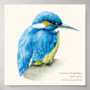Search for kingfish art Blue