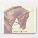 Search for arabian horse Pony