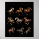 Search for horse eventing posters Ranch