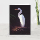 Search for great white egret cards Heron