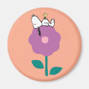 Search for whistling magnets Peanuts
