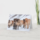 Search for pasture cards Ranch