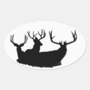 Search for big buck stickers Wildlife