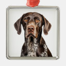 Search for pointer dog christmas tree decorations Liver