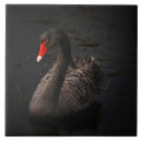 Search for beak tiles Bird