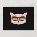 Search for lgbt cat postcards Lgbtq