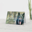 Search for gsd cards Dog