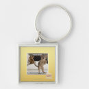 Search for raptor key rings I can has cheezburger