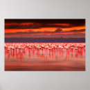 Search for safari sunset posters Animal