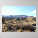 Search for mojave posters Yucca