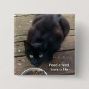 Search for kitty cat badges Kitties