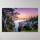 Search for new forest posters Landscape