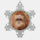 Search for cute monkey christmas tree decorations Jungle