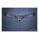 Search for wingspan art Bird of prey