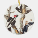 Search for audubon birds christmas tree decorations James