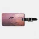 Search for bottlenose dolphin accessories Wildlife
