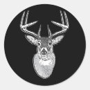 Search for black tailed stickers Nature