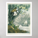 Search for amazons posters School