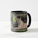 Search for panther mugs Wildlife