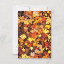 Search for fall vertical note cards Foliage