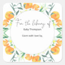 Search for citrus plates Watercolor