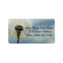Search for sky blue return address labels Photograph