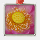 Search for lotus flower christmas tree decorations Pink