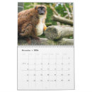 Search for lemur calendars Photography