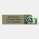 Search for raccoon bumper stickers Wildlife