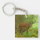 Search for stag key rings Animals