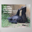 Search for 16x20 posters Funny