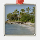 Search for waves christmas tree decorations Tropical