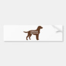 Search for chocolate bumper stickers Labrador retriever