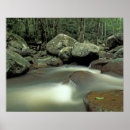Search for rainforest posters Thailand