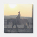 Search for equine magnets Horse and rider