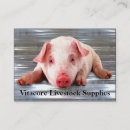 Search for pig business cards Professional