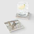 Search for turkeys coasters Nature