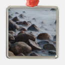 Search for new york christmas tree decorations Park