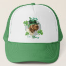 Search for griffons hats Wirehaired pointing griffon