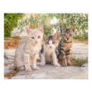 Search for friend baby posters For kids