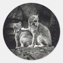 Search for lynx stickers Cats