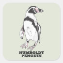 Search for humboldt stickers Penguin