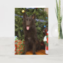 Search for black german shepherd cards Animals