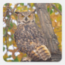 Search for bubo stickers Great horned owl
